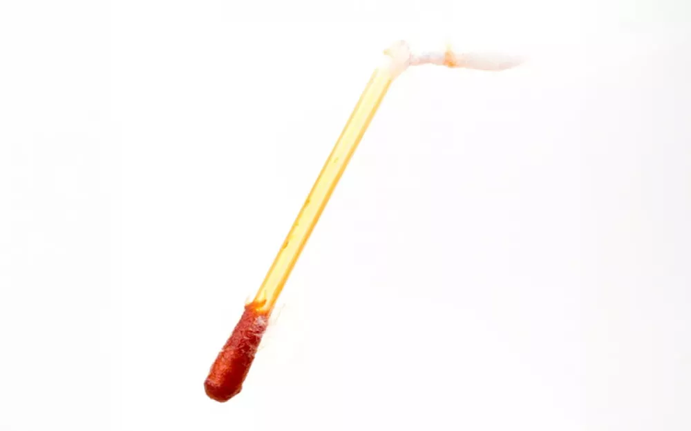 宠物皮炎皮脂控制棉棒4
